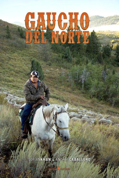 Gaucho del Norte official movie poster
