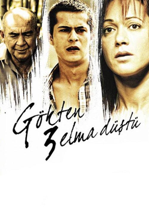 3 Apples Fell from the Sky 2008 official movie poster