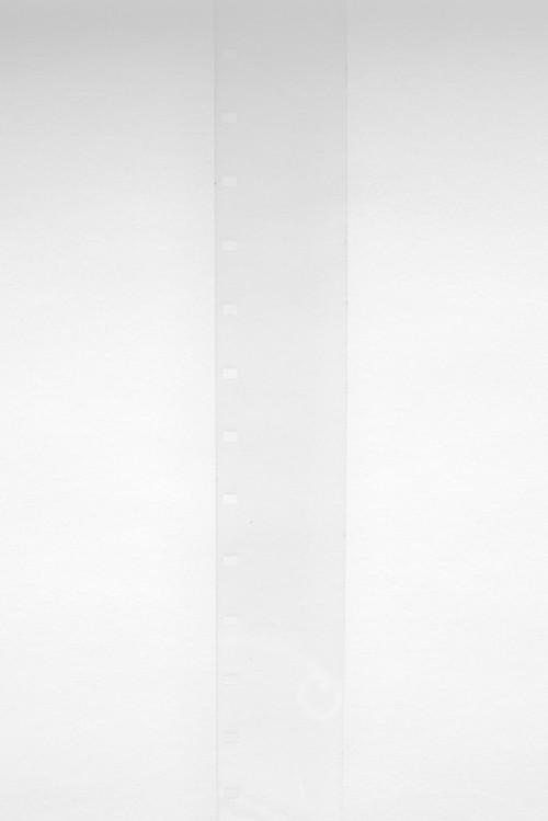 Film for Invisible Ink, Case No. 142: ABBREVIATION FOR DEAD WINTER  [Diminished by 1,794] 2008 official movie poster