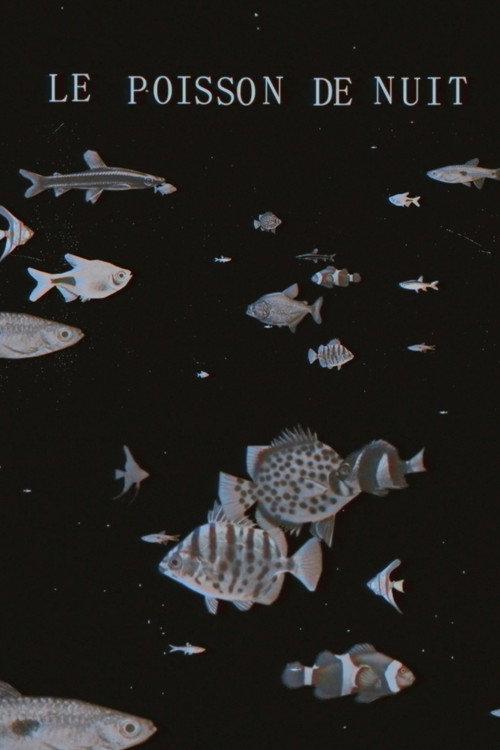 The Night Fish 2018 official movie poster