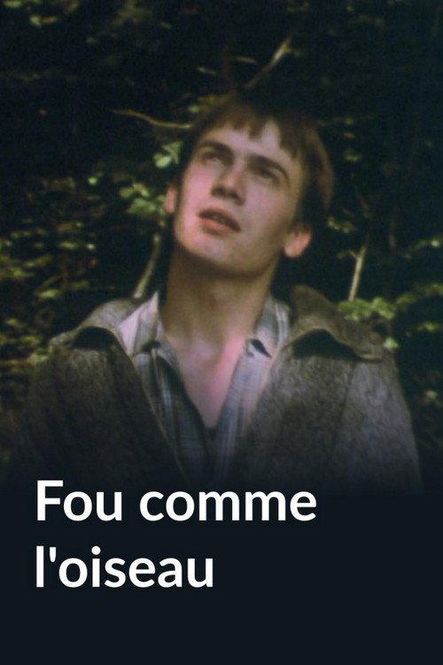 Fou comme l'oiseau 1983 official movie poster