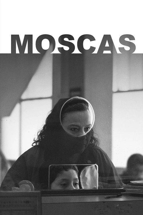 Flies 2026 official movie poster