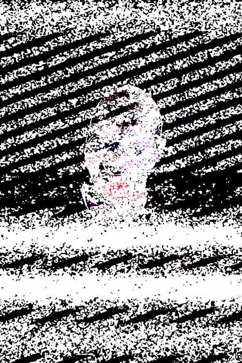 What do you see?.mp4 2024 official movie poster