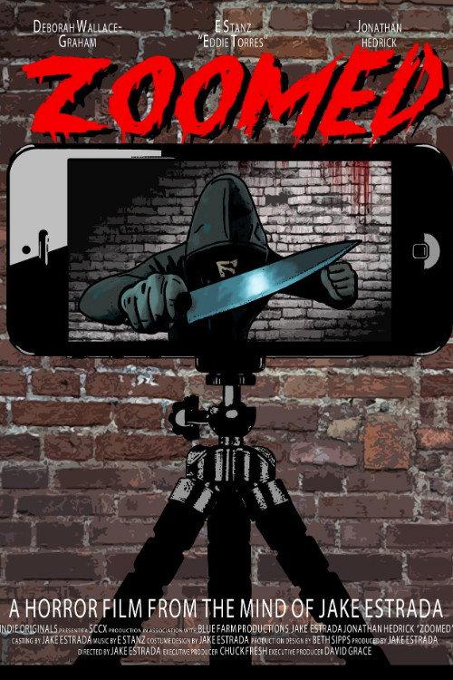 Zoomed 2021 official movie poster