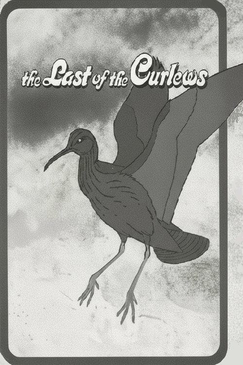 The Last of the Curlews 1972 official movie poster
