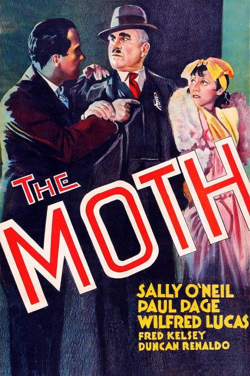 The Moth 1934 official movie poster