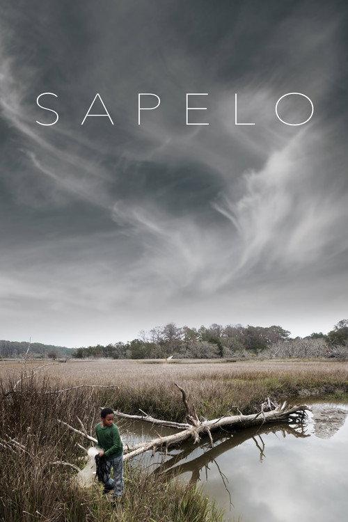 Sapelo 2020 official movie poster