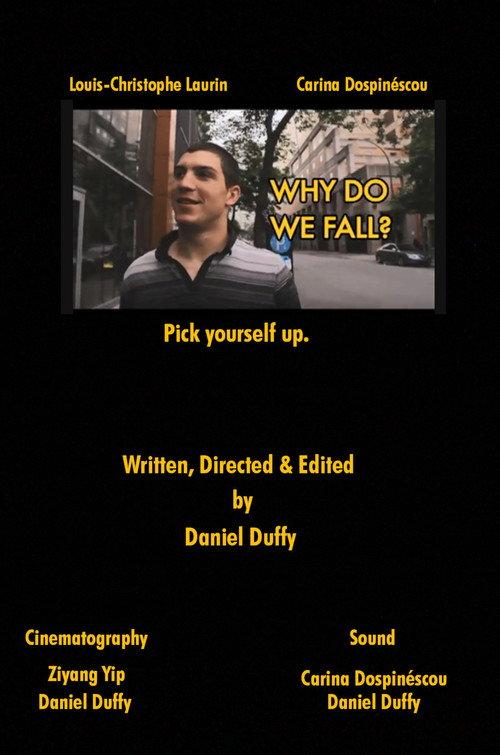 Why Do We Fall? 2012 official movie poster