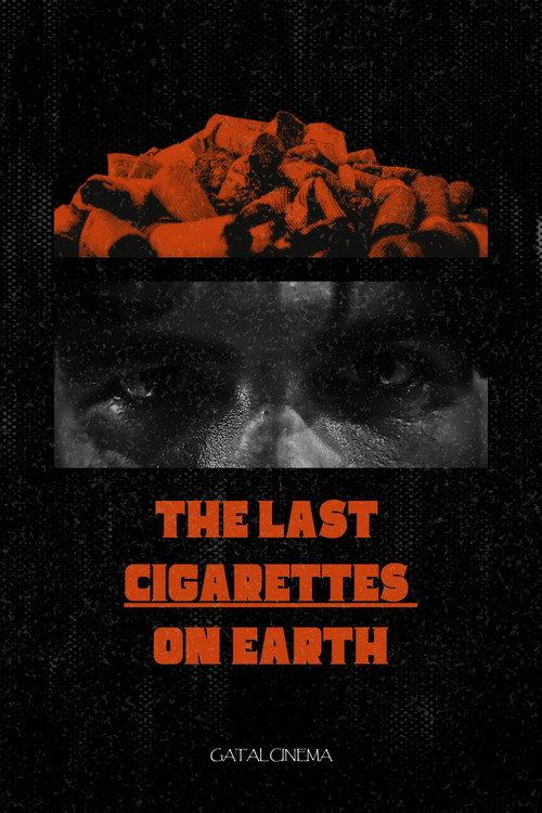 The Last Cigarretes on Earth 2025 official movie poster