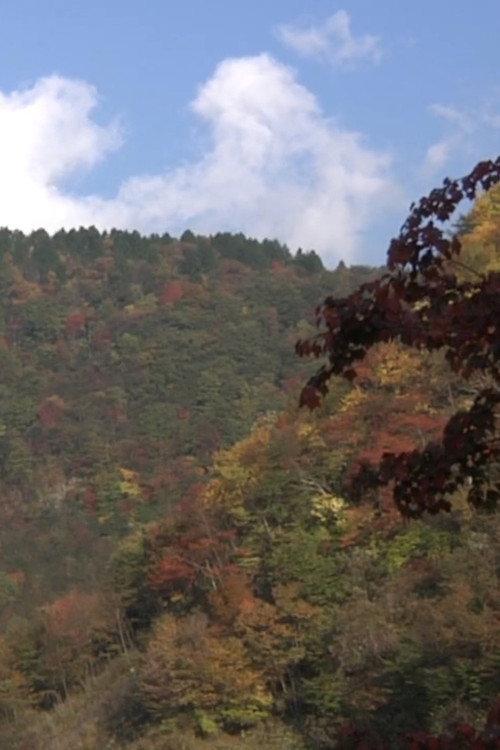 Autumn Leaves Exploration 2010 official movie poster