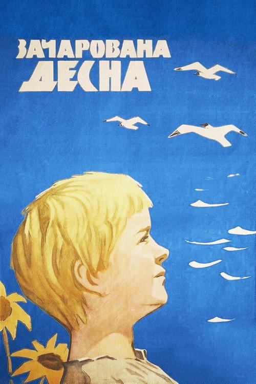 The Enchanted Desna 1964 official movie poster