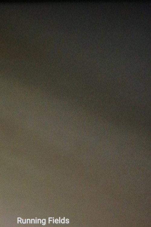 Running Fields 2024 official movie poster