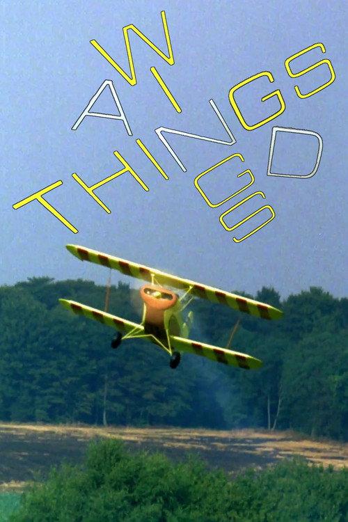 Wings and Things 1973 official movie poster