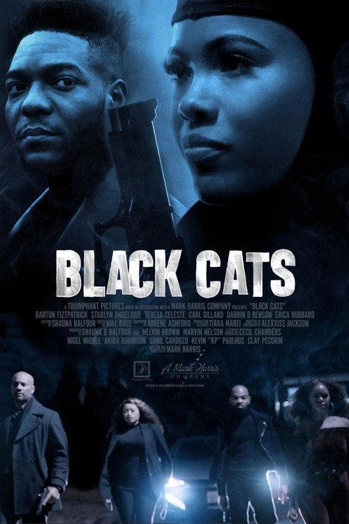 Black Cats 2025 official movie poster