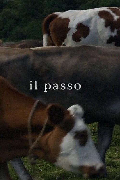 Il passo 2016 official movie poster