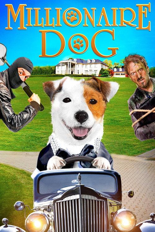 Millionaire Dog 2014 official movie poster
