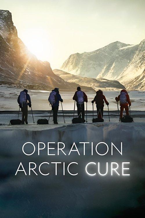 Operation Arctic Cure 2024 official movie poster