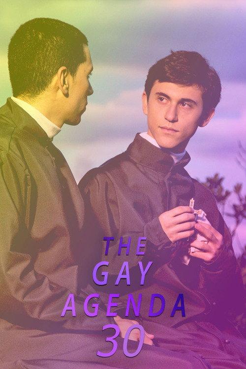 The Gay Agenda 30 2024 official movie poster