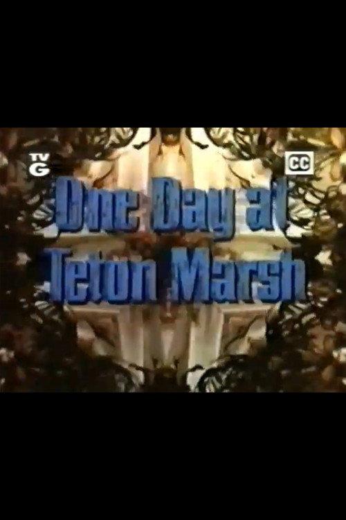 One Day at Teton Marsh 1964 official movie poster