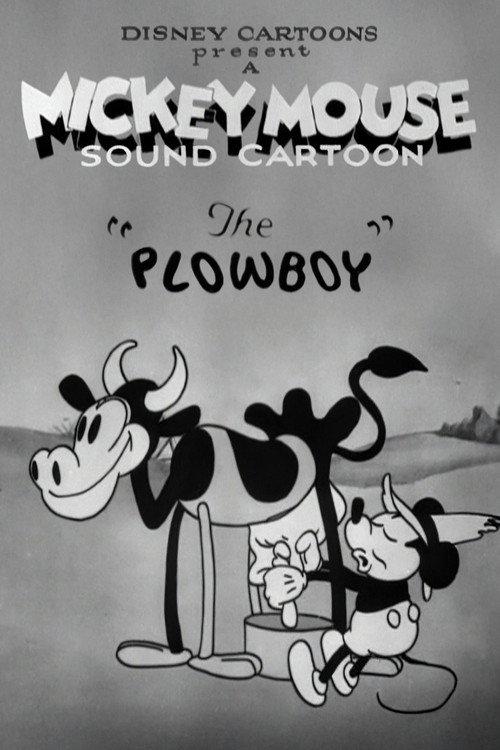 The Plowboy 1929 official movie poster