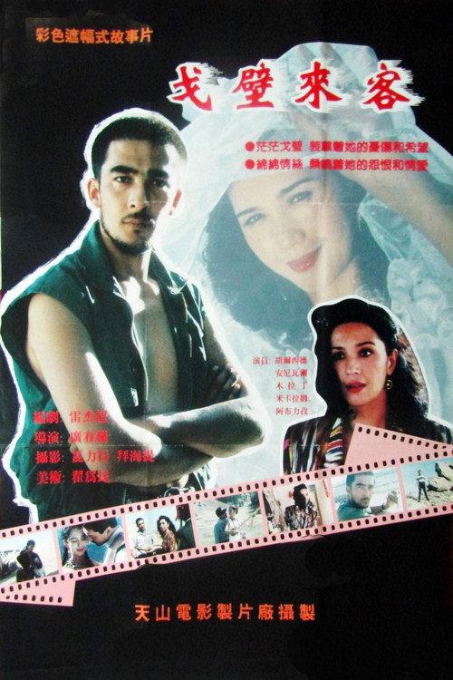 Gobi Visitors 1995 official movie poster