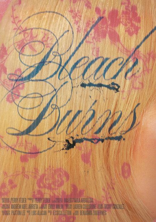Bleach Burns official movie poster