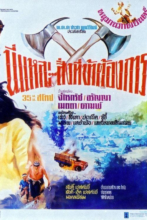 This Is It... What I Need! 1973 official movie poster