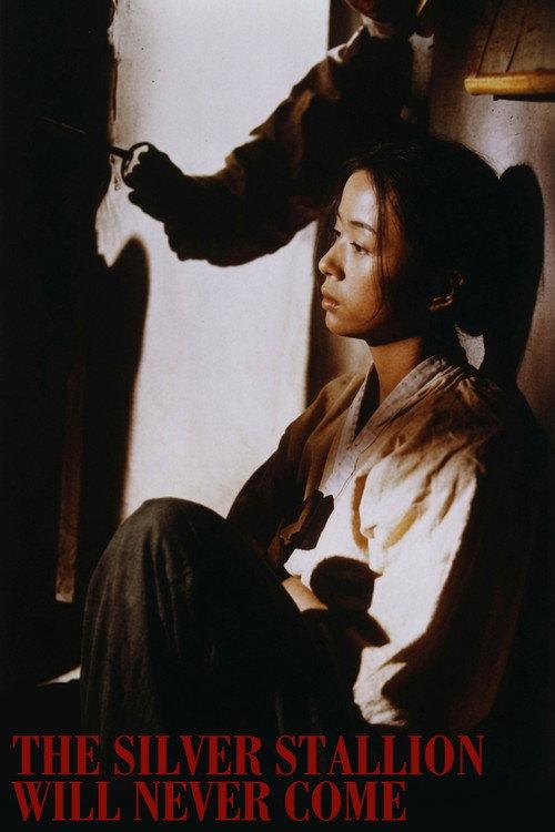 The Silver Stallion Will Never Come 1991 official movie poster