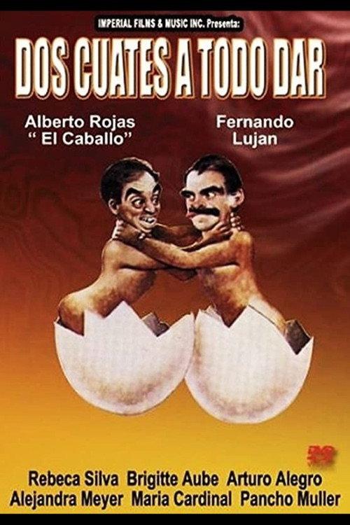 Dos cuates a todo dar 1990 official movie poster
