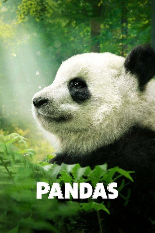Pandas 2018 official movie poster