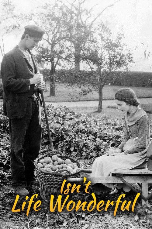 Isn't Life Wonderful 1924 official movie poster