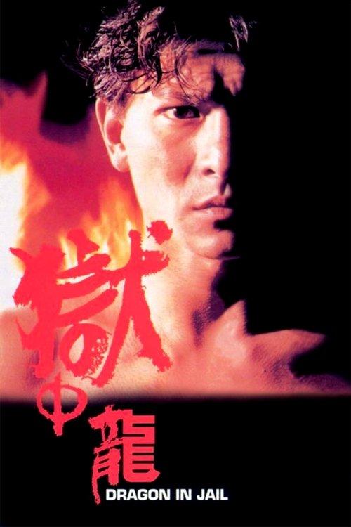Dragon in Jail 1990 official movie poster