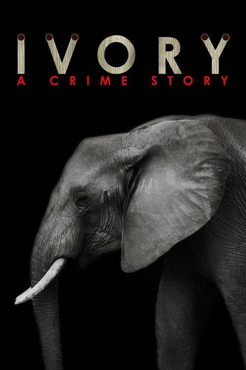 Ivory. A Crime Story 2016 official movie poster