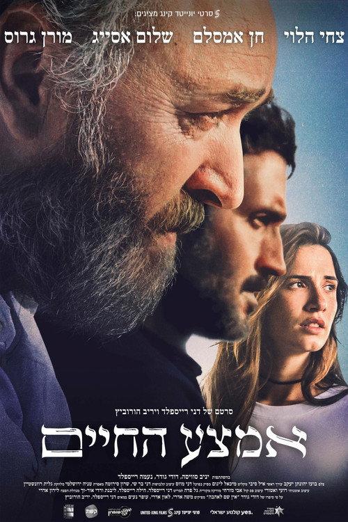 Midlife 2023 official movie poster