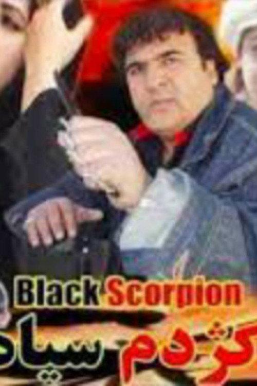 Black Scorpion 2012 official movie poster