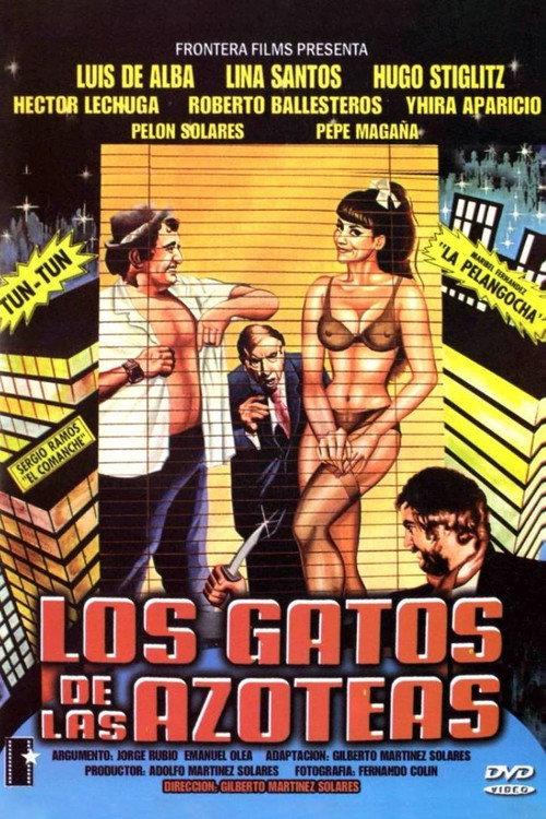 The Cats on the Rooftops 1988 official movie poster