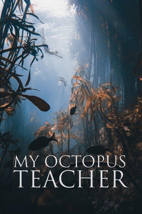 My Octopus Teacher 2020 official movie poster