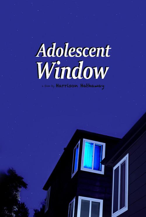Adolescent Window 2025 official movie poster