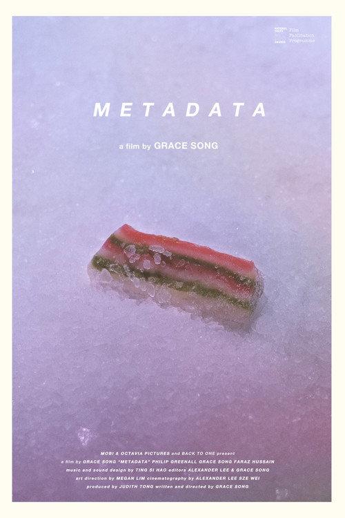 Metadata 2021 official movie poster