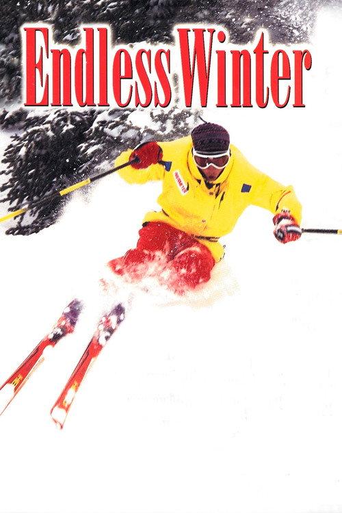 Endless Winter 1995 official movie poster
