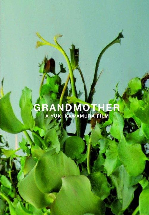 Grandmother 2010 official movie poster