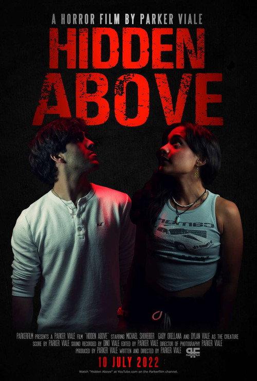 Hidden Above 2022 official movie poster