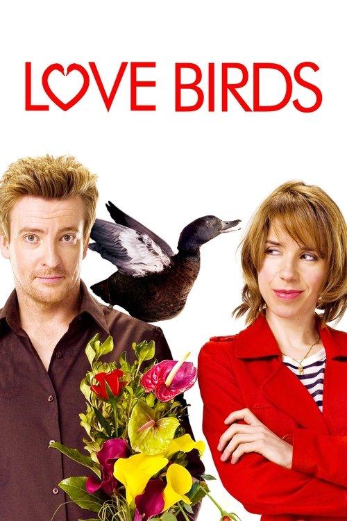 Love Birds 2011 official movie poster