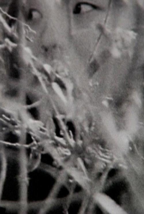 Visible Cinema 2013 official movie poster