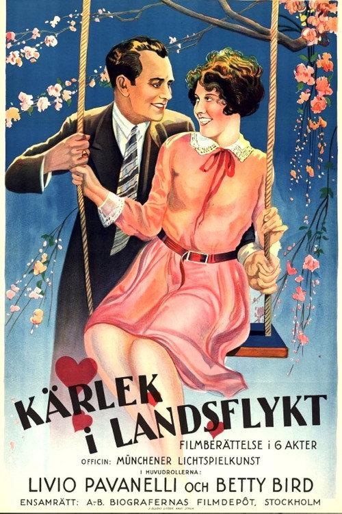 Aimless Hearts 1928 official movie poster