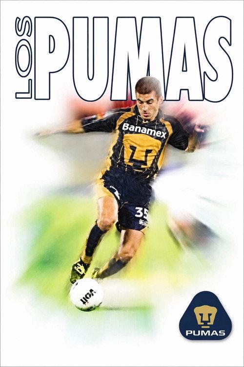 40 Years as Pumas 2002 official movie poster