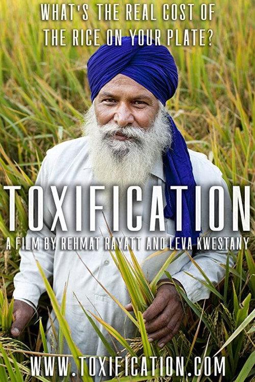 Toxification 2020 official movie poster