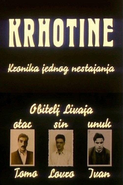 Fragments: Chronicle of a Vanishing 1991 official movie poster
