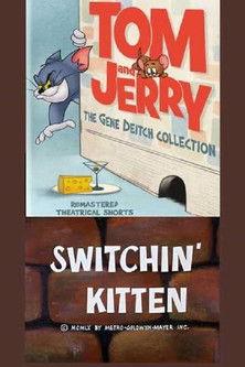 Switchin' Kitten 1961 official movie poster