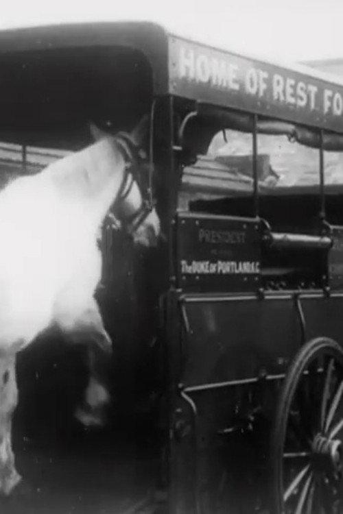Horses' New Year's Feast 1913 official movie poster